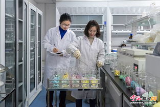 节后开足马力，宁海检验检疫技术中心力促技术进出口高效畅通